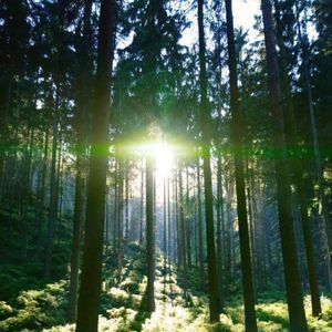 Meet your Posher, Lucy